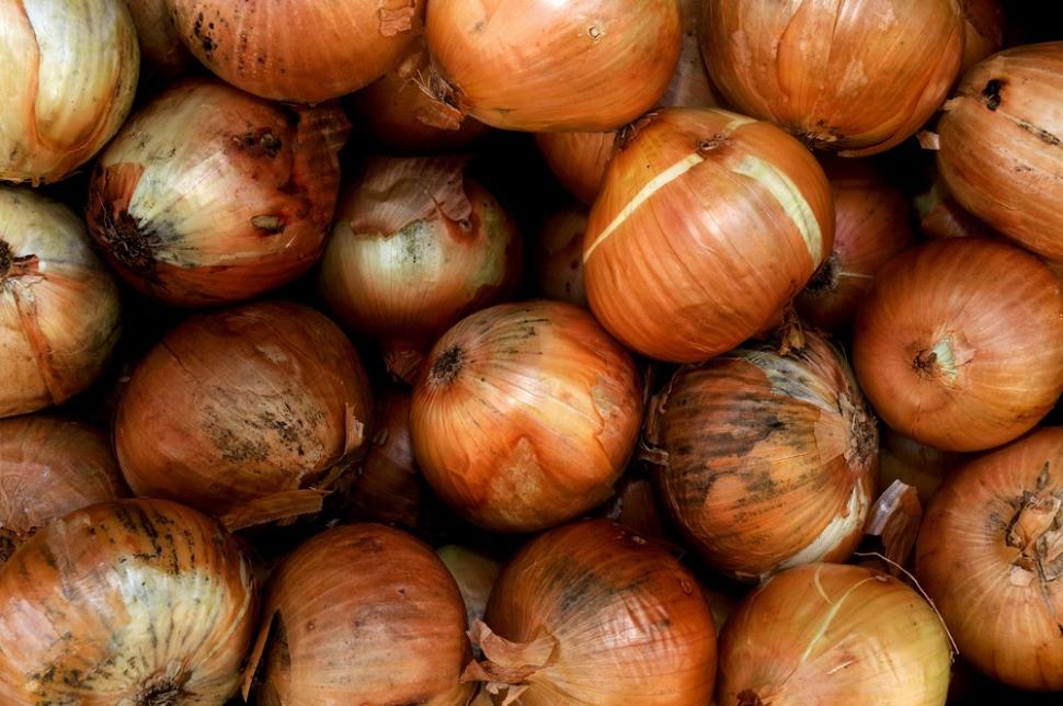 Bawang bombay punya banyak manfaat bagi kesehatan. (Shutterstock)