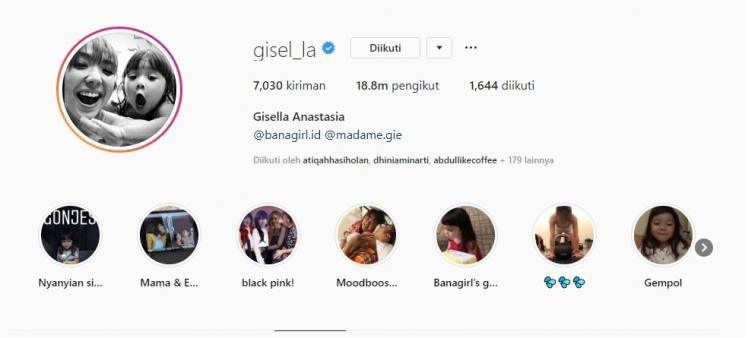 Pemilik akun Instagram dengan jumlah fantastis. [instagram]