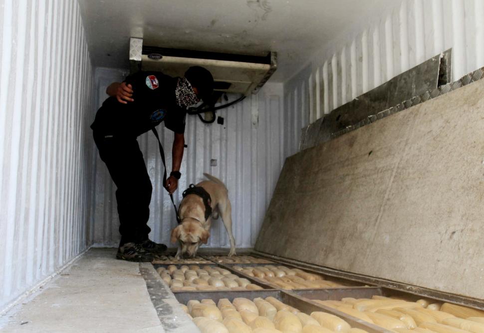 BNN Ungkap Ganja 1,4 Ton BNN Ungkap Ganja 1,4 Ton