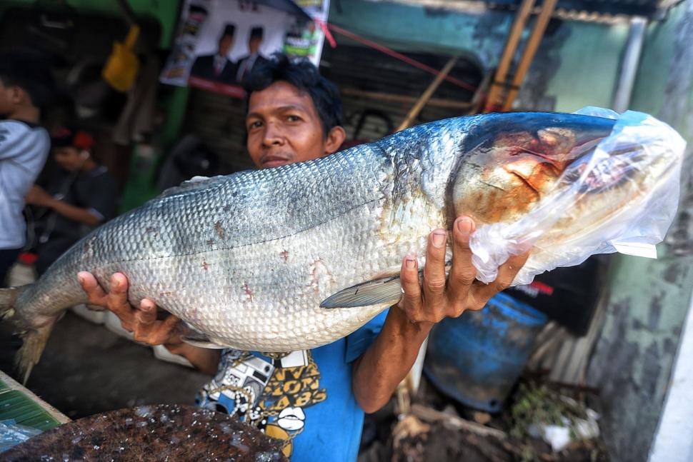 Pasar Kaget Ikan Bandeng Jelang Perayaan Imlek Pasar Kaget Ikan Bandeng Jelang Perayaan Imlek