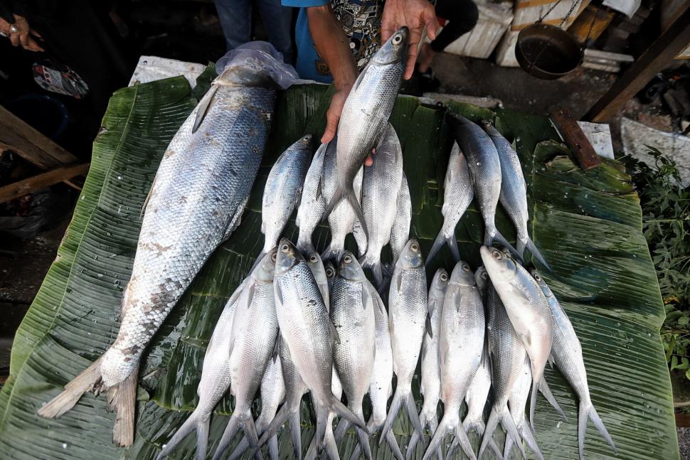 Warga membeli ikan bandeng di Pasar Rawa Belong, Jakarta, Minggu (3/1). [Suara.com/Muhaimin A Untung]