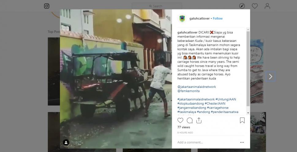 Video Kuda Disiksa di Tasikmalaya Viral. (instagram.com/galuhcatlover)