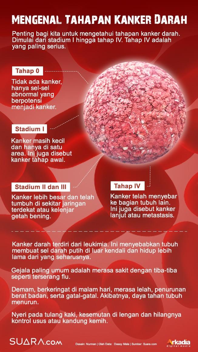 Mengenal Tahapan Kanker Darah penyakit yang dialami Ani Yudhoyono. (Dok. Infografis Suara.com)