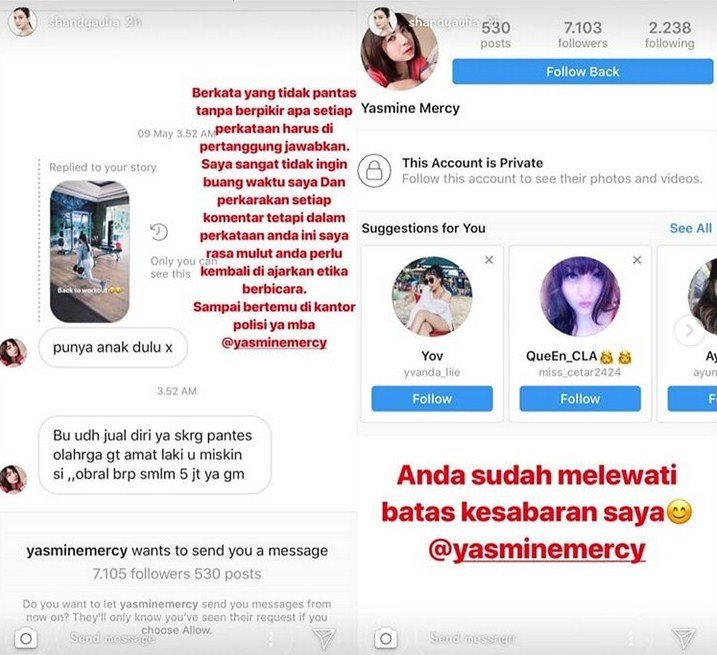 Shandy Aulia merasa dihina oleh pemilik akun Instagram Yasmine Mercy.