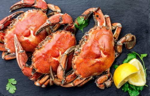 Ilustrasi daging kepiting miliki manfaat yang baik untuk kesehatan tubuh. (Shutterstock)