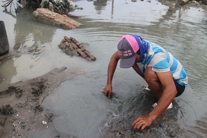 Warli sedang mencari kerang. [Suara.com/Erick Tanjung]