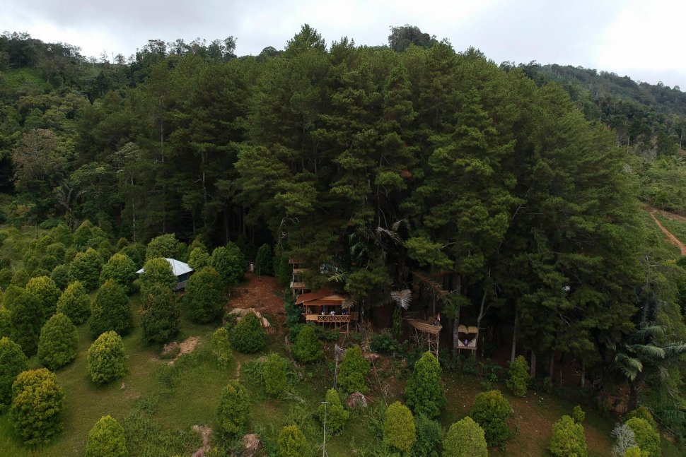 Foto udara hamparan pohon pinus di obyek wisata Puncak Dulamayo, Kabupaten Gorontalo, Gorontalo, Minggu (31/3). ANTARA FOTO/Adiwinata Solihin