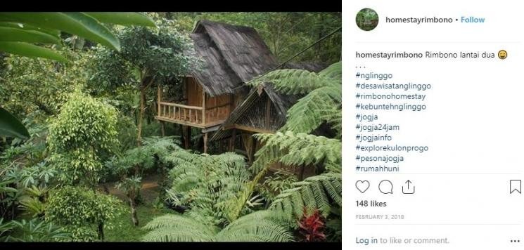 Homestay bergaya tropikal di Yogyakarta untuk melepas penat. (Dok. Instagram)