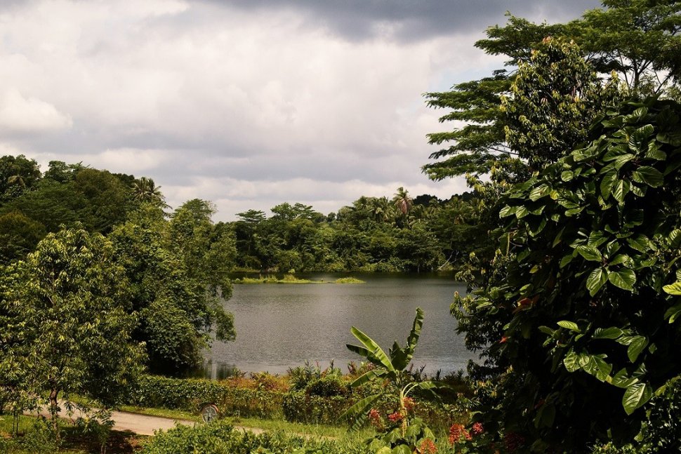 Pulau Ubin, Kampung di Singapura (nparks.gov.sg)