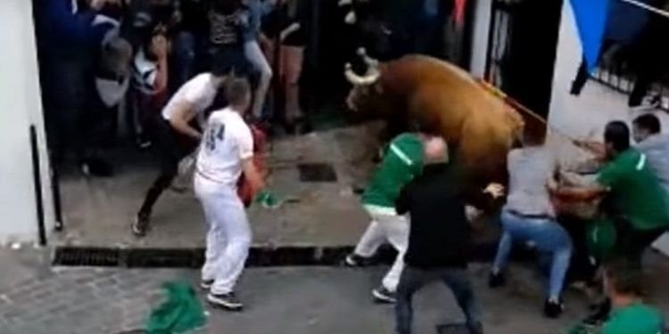 Seorang Pria Tewas Ditanduk Banteng pada Festival Toro Embolado di Spanyol. (Foto: Capture Youtube)