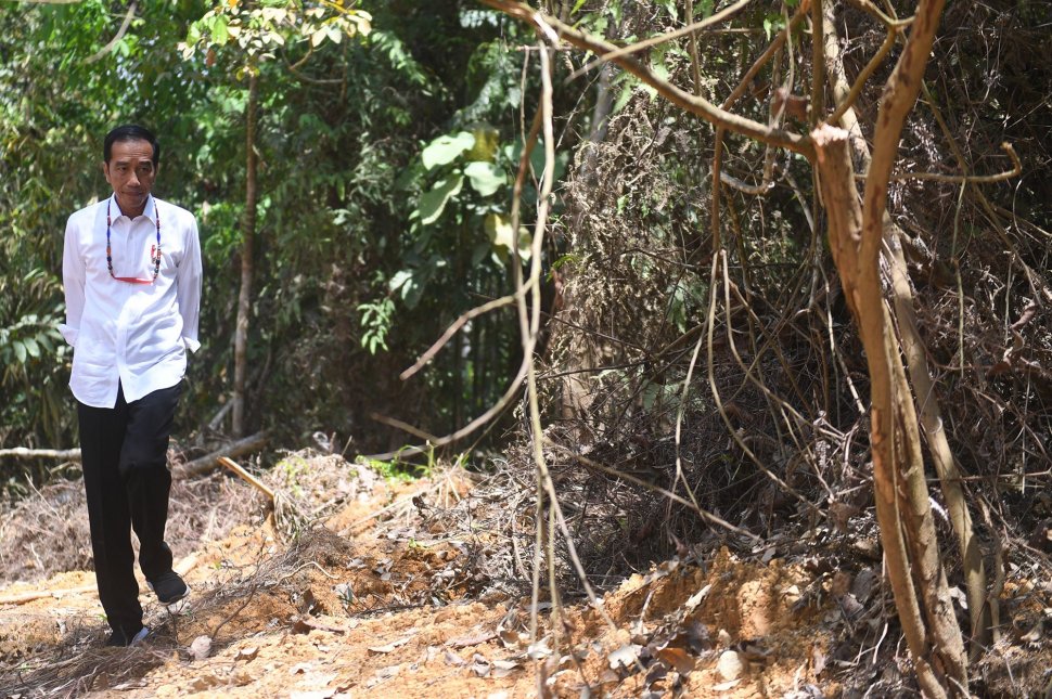 Presiden Joko Widodo berjalan di kawasan hutan saat meninjau salah satu lokasi calon ibu kota negara di Gunung Mas, Kalimantan Tengah, Rabu (8/5). ANTARA FOTO/Akbar Nugroho Gumay/foc.