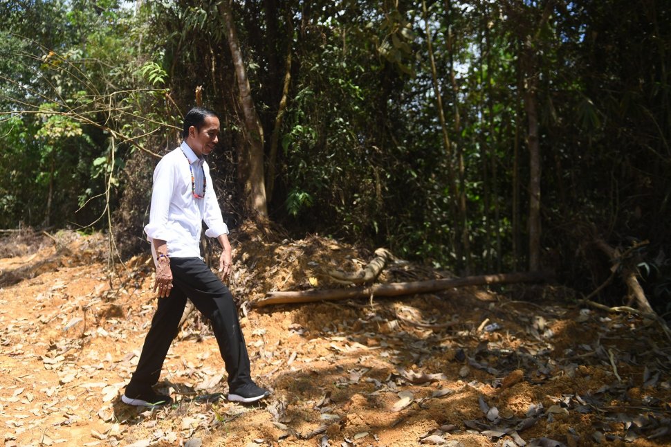Presiden Joko Widodo berjalan di kawasan hutan saat meninjau salah satu lokasi calon ibu kota negara di Gunung Mas, Kalimantan Tengah, Rabu (8/5). ANTARA FOTO/Akbar Nugroho Gumay/foc.