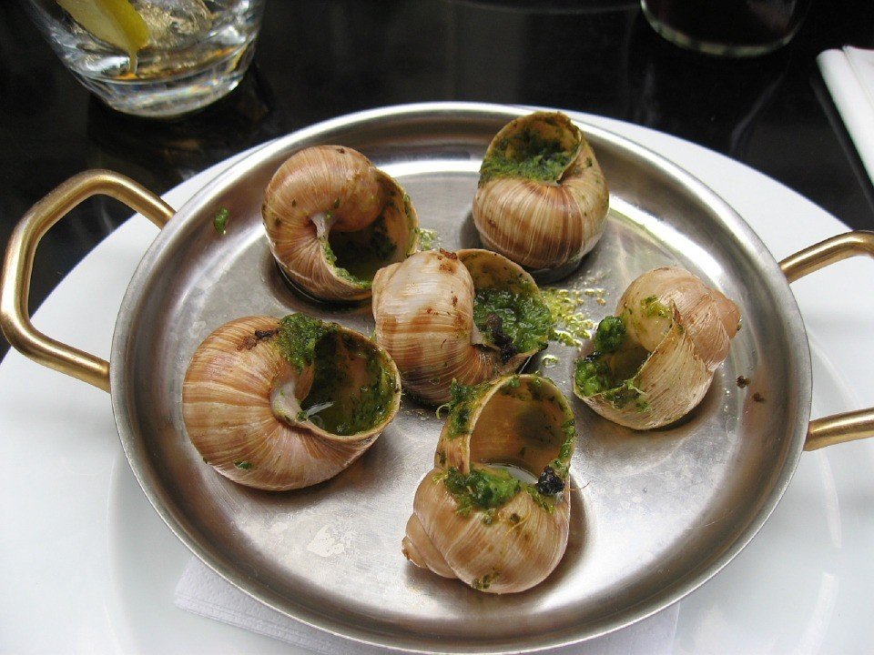 Escargot, hidangan khas Perancis yang terbuat dari siput. (Pixabay/skeeze)