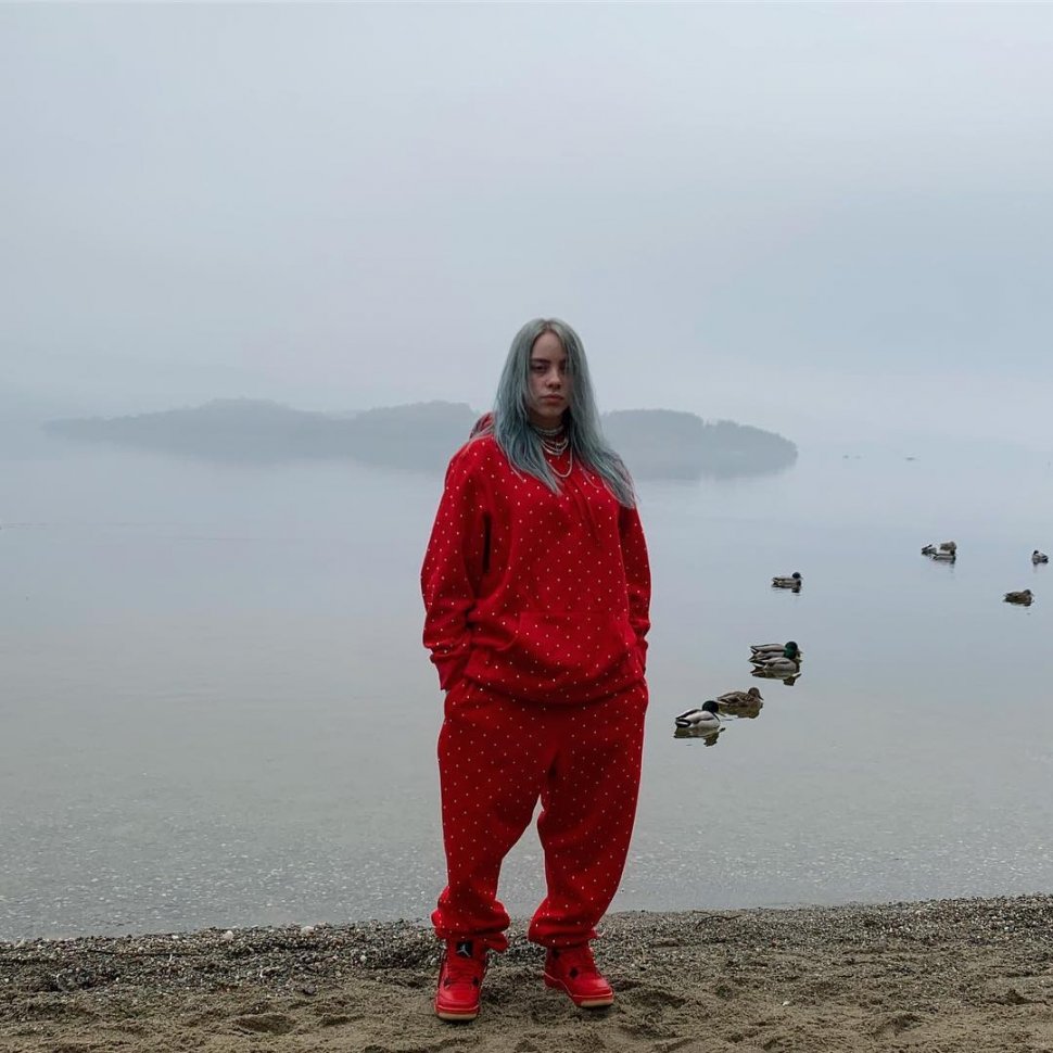 Billie Eilish. (Instagram/@billieeilish)