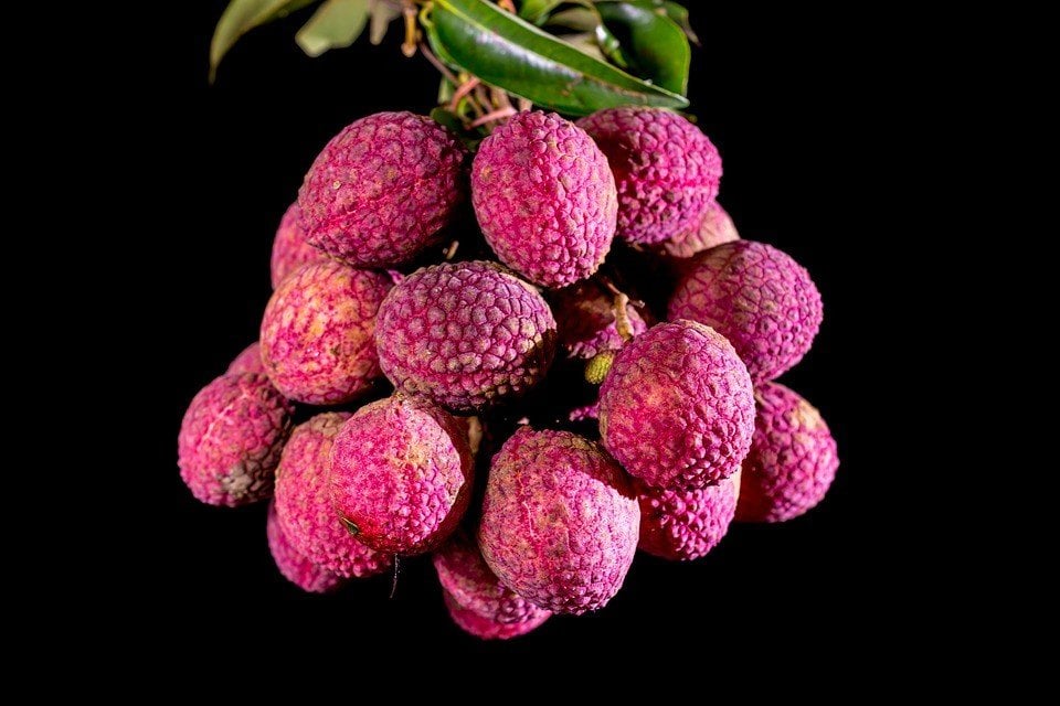 Gambaran buah leci (Pixabay/Josch13)