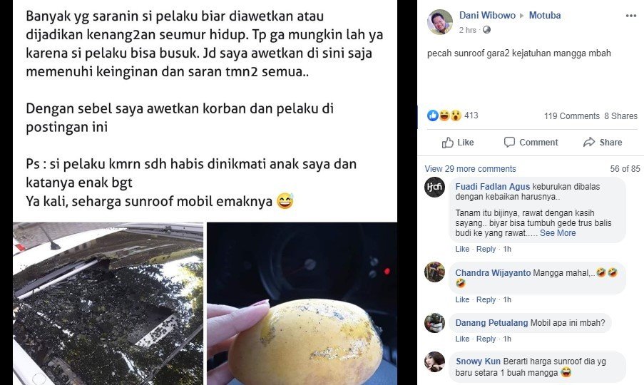 Kisah Pemobil Dapat Buah Mangga Seharga Jutaan Rupiah, Kok Bisa? (Facebook/Dani Wibowo)