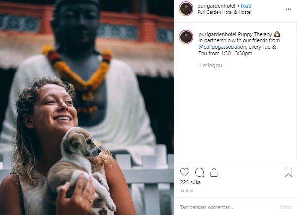 Terapi anti stres bersama anak anjing di Puri Garden Hotel and Resort, Bali. (Instagram/@purigardenhotel)