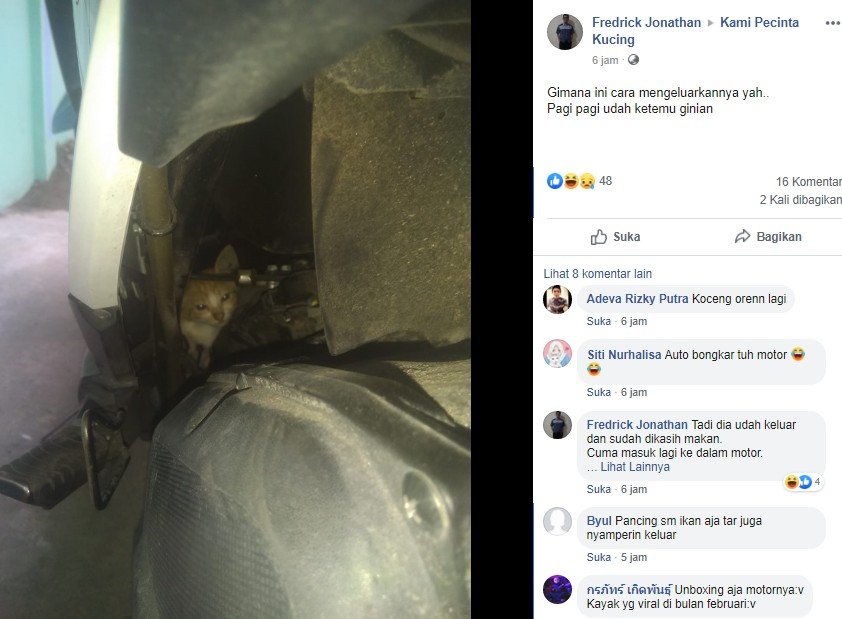 Binatang yang menyelinap di sekitar mesin motor. (Facebook/Fredrick Jonathan)