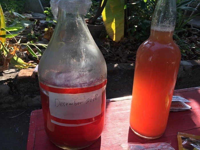 Air sari buah yang tengah difermentasikan secara manual oleh para pegiat fermentasi di Yogyakarta. [Suara.com/Erick Tanjung]