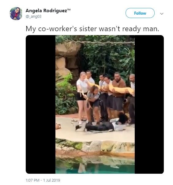 Reaksi kocak saat diprank ular di kebun binatang (twitter.com/_ang03)