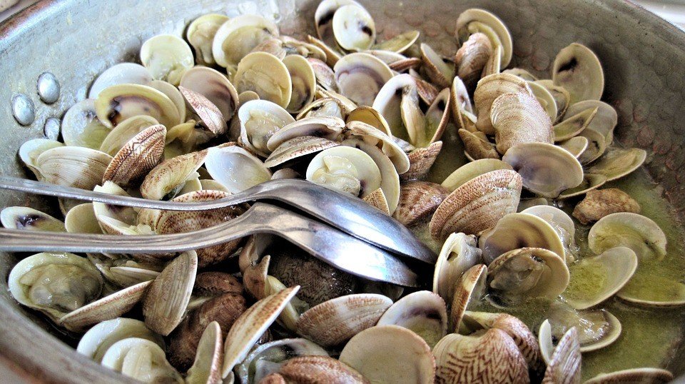 Ilustrasi memasak kerang. (Pixabay/pixel)