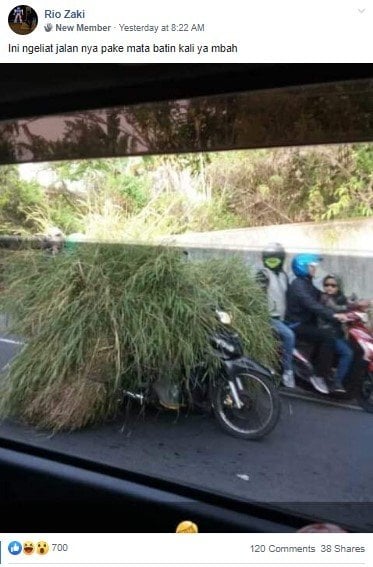 Pemotor Bawa Terlalu Banyak Rumput Sampai Tidak Kelihatan. (Facebook/Rio Zaki)