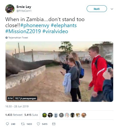 Video viral, siswi studi tur ditampar gajah. (Twitter/FritoCorn1)