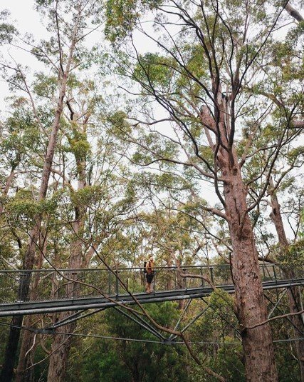 Ringgo saat liburan ke Australia Barat. (Instagram/@ringgoagus)