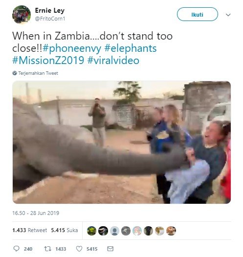 Video viral, siswi studi tur ditampar gajah. (Twitter/FritoCorn1)