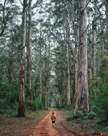 Ringgo saat liburan ke Australia Barat. (Instagram/@ringgoagus)