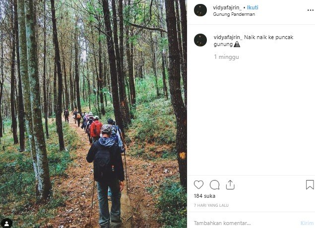 Jalur pendakian Gunung Panderman. (Instagram/@vidyafajrin)