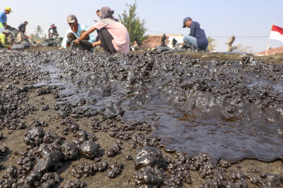 Penampakan Tumpahan Minyak Pertamina Di Pesisir Pantai Karawang