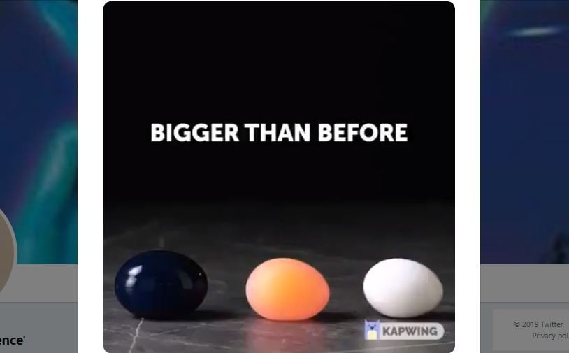 Viral Video Telur Bisa Bertambah Besar (twitter.com/chipspopandabar)