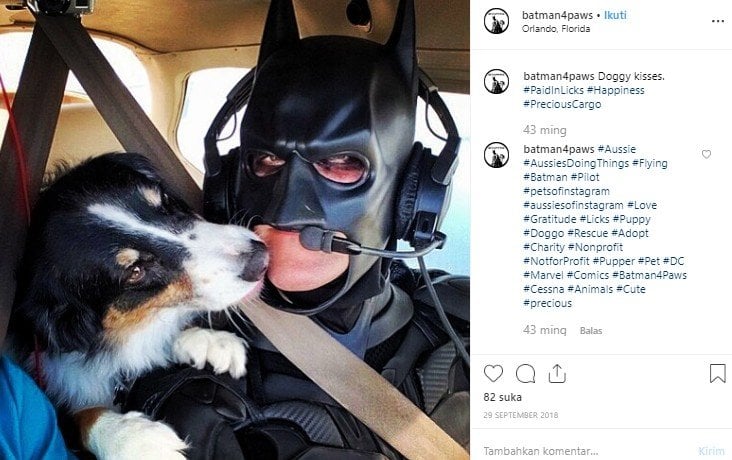  Keren, Pilot Berpakaian Batman Ini Bantu Selamatkan Hewan Terlantar. (Instagram/@batman4paws)