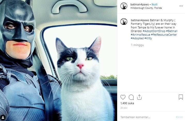  Keren, Pilot Berpakaian Batman Ini Bantu Selamatkan Hewan Terlantar. (Instagram/@batman4paws)