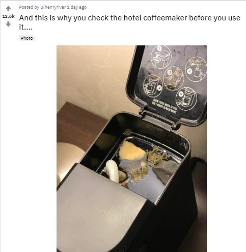 Niat Bikin Kopi, Tamu Hotel Ini Malah Temukan Hal Menjijikan. (Reddit)
