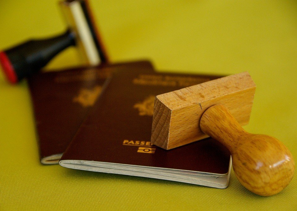 Ilustrasi paspor. (Pixabay/Jackmac34)