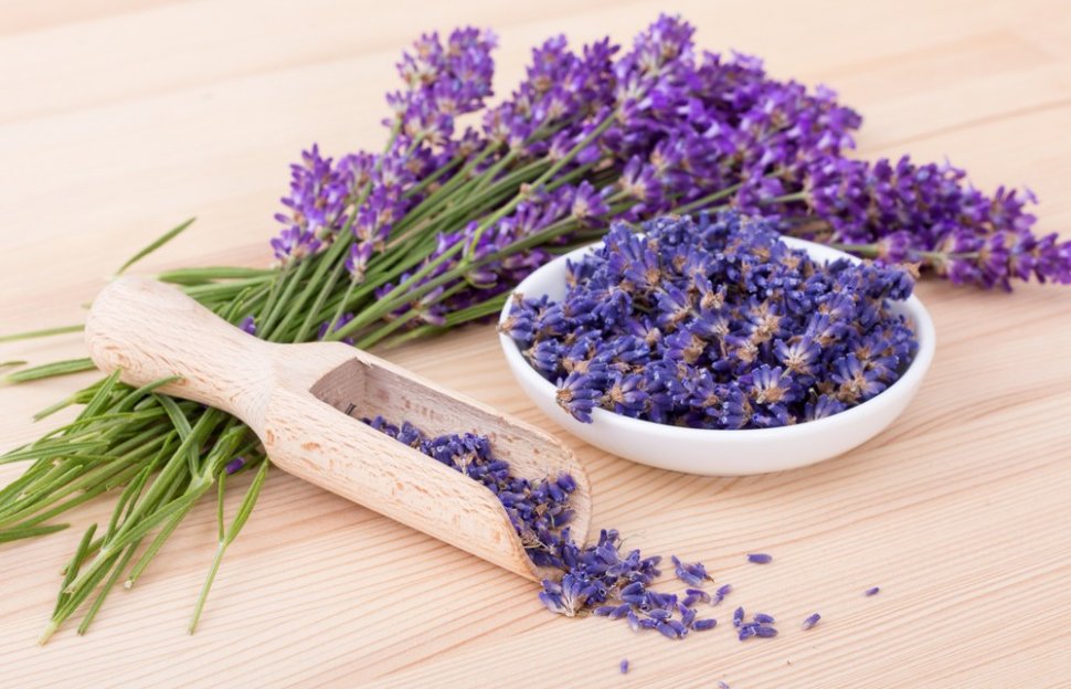 Lavender. (Shutterstock)