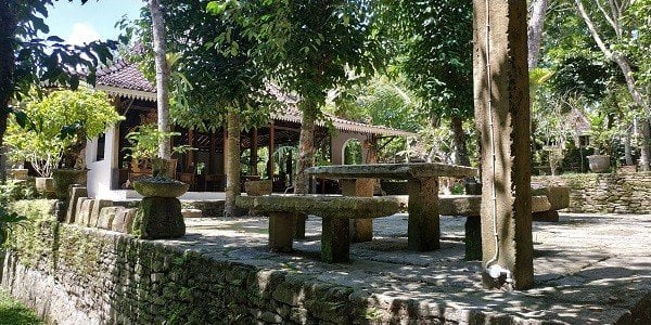 Jiwajawi Resto, Tempat Makan dengan Suasana Hutan di Bantul Yogyakarta. (Suara.com/Dany)