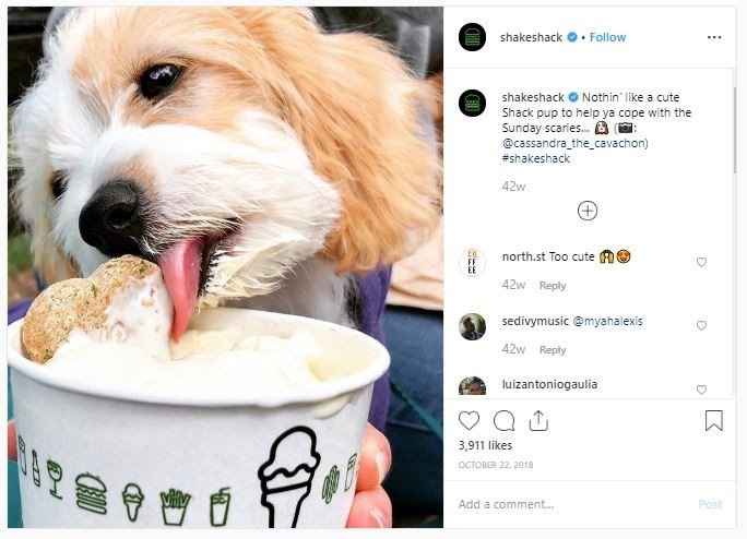 Restoran dengan menu khusus anjing (instagram.com/shakeshack)