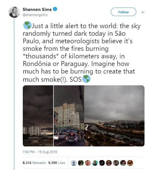Langit gelap akibat abu Amazon di Sao Paulo, Brasil (twitter.com/shannongsims)