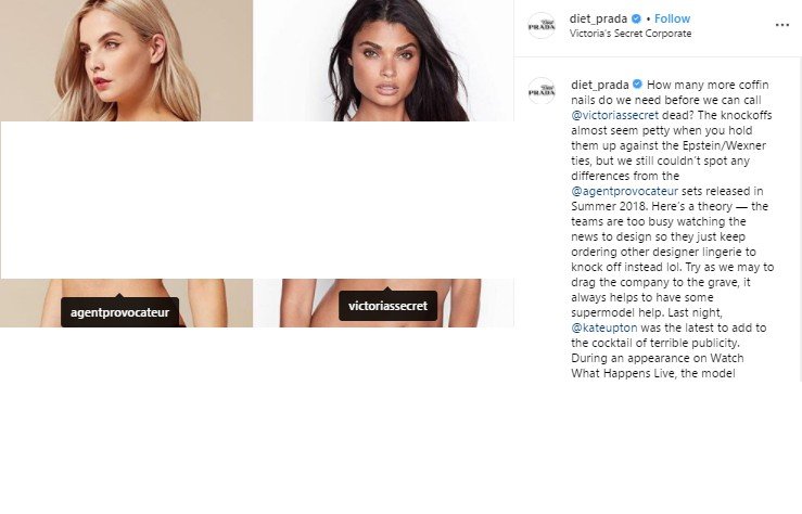 Victoria's Secret Dituduh Plagiat Desain Lingerie. (Instagram/@diet_prada)