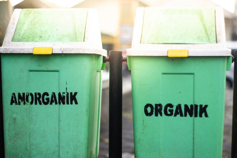 Separate organic and inorganic waste.  (Shutterstock)