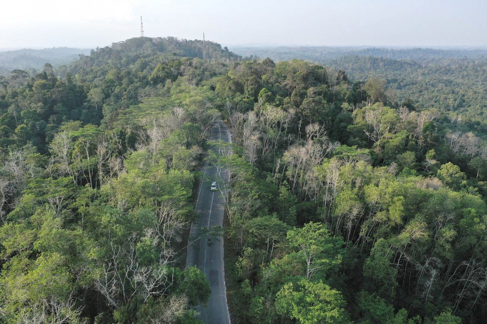 Begini Penampakan Bukit Soeharto di kalimantan Timur - Bagian 2