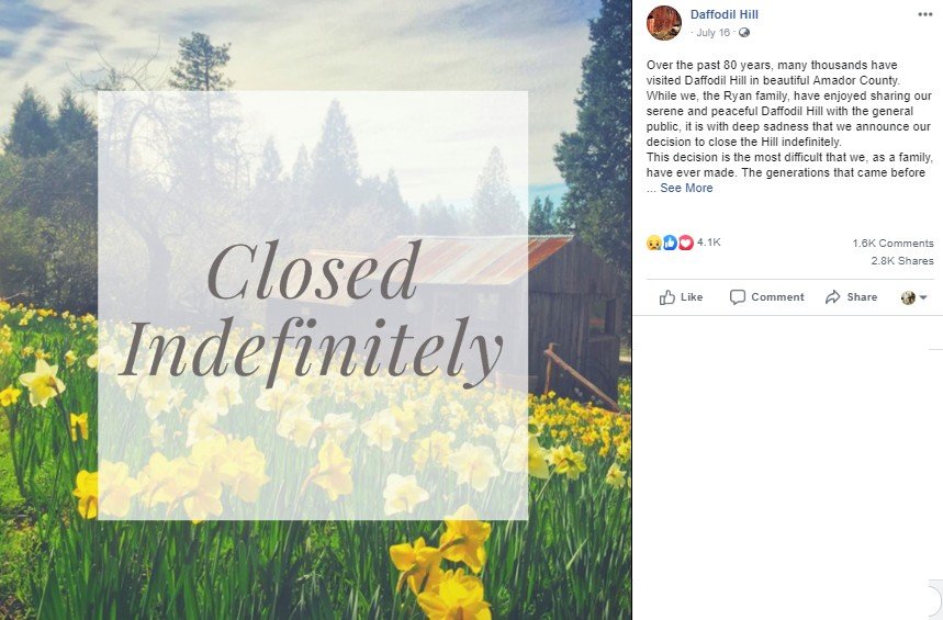 Taman bunga di California tutup gara-gara ulah Instagrammers. (Facebook/Dafodil Hill)