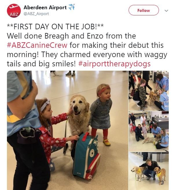 (Twitter Aberdeen Airport Official)