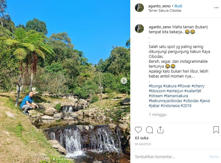Kebun Raya Cibodas. (Instagram/@aganto_seno)