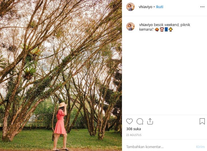 Kebun Raya Cibodas. (Instagram/@vhiaviyo)