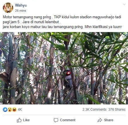 Sepeda Motor Honda Supra Nyangkut di Pohon Bambu. (Facebook)
