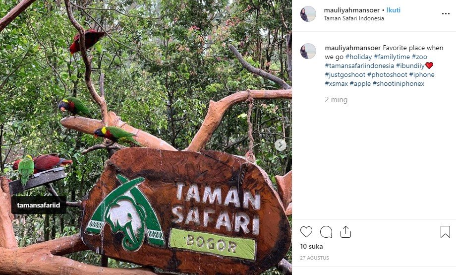 Taman Safari Indonesia. (Instagram/@mauliyahmansoer)